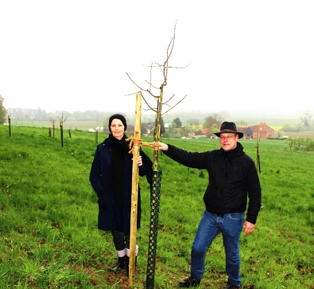 Streuobstwiese